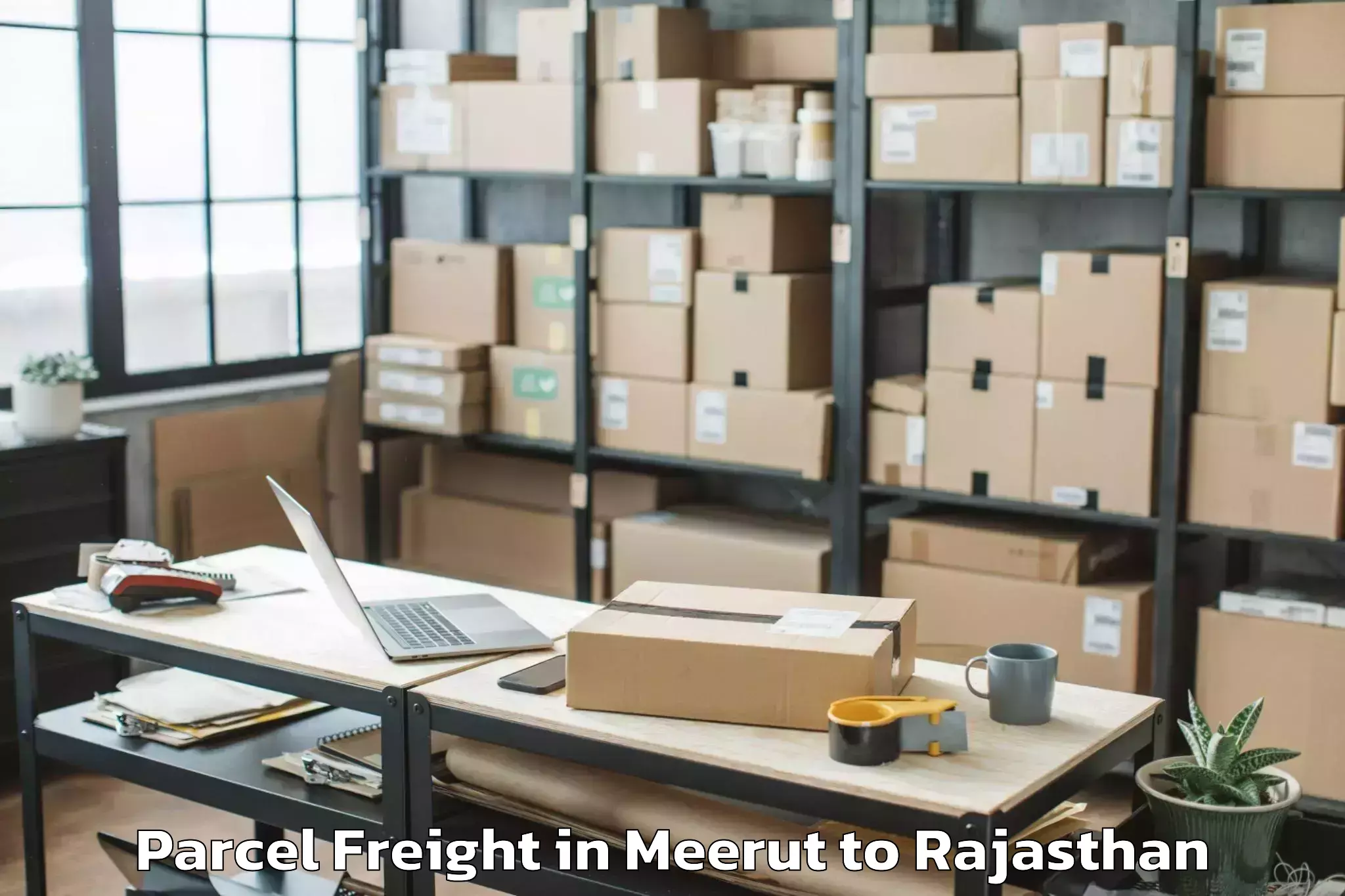 Efficient Meerut to Nathdwara Parcel Freight